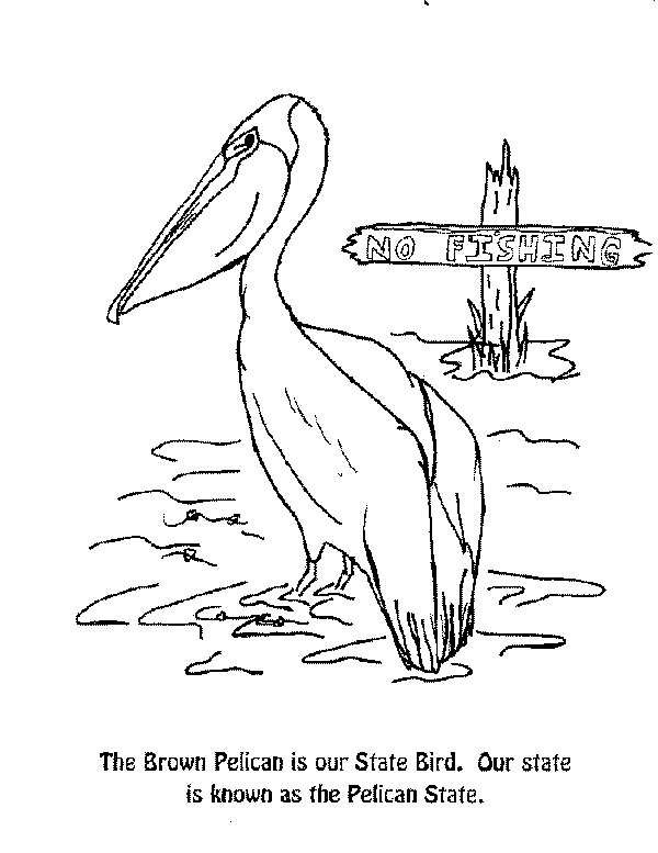 bird-C.gif (14128 bytes)