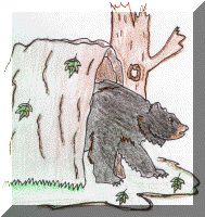 State Mammal