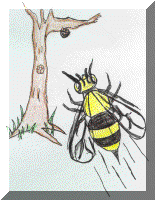 State Insect
