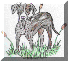 State Dog