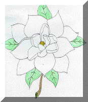 State Flower