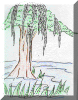 State Tree