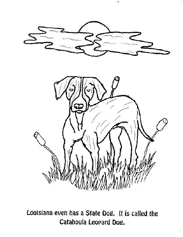 dog-C.gif (16414 bytes)