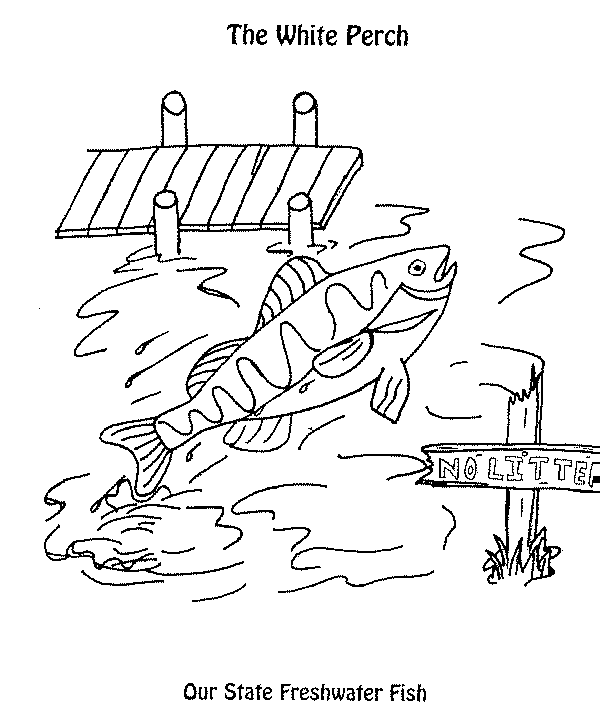 fish-C.gif (12185 bytes)