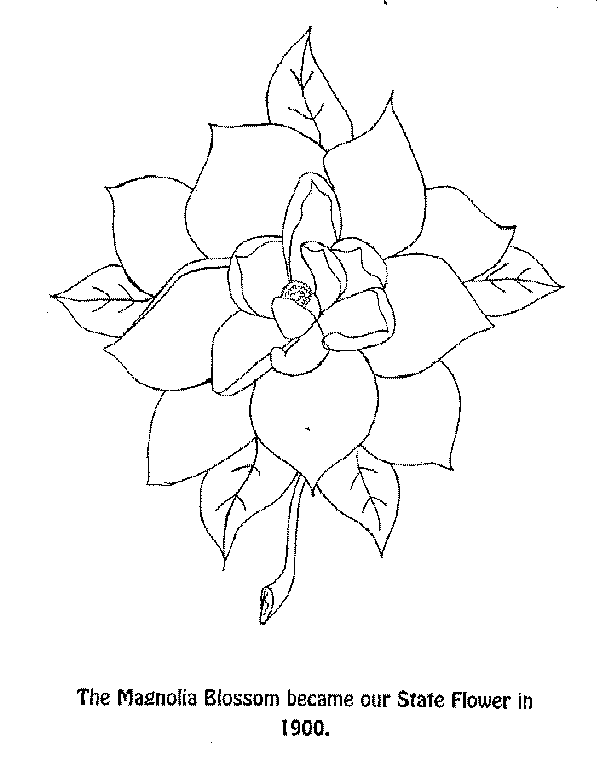 flower-C.gif (11200 bytes)